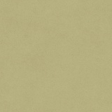 Sabbia Mocassin Beige 538